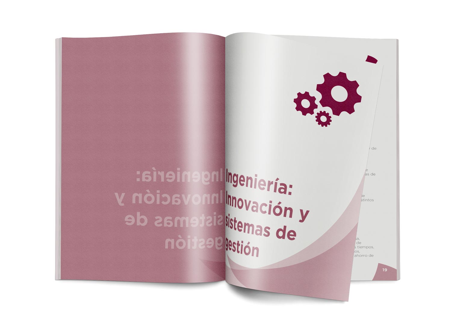 Abinec Catálogo Creaemos Estudio de Diseño Ana Collazo