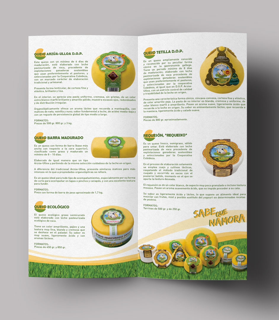 Creaemos Estudio de Diseño Ana Collazo