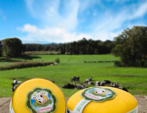 Diseño de etiquetas y fotografía de producto para Dona Cobiña