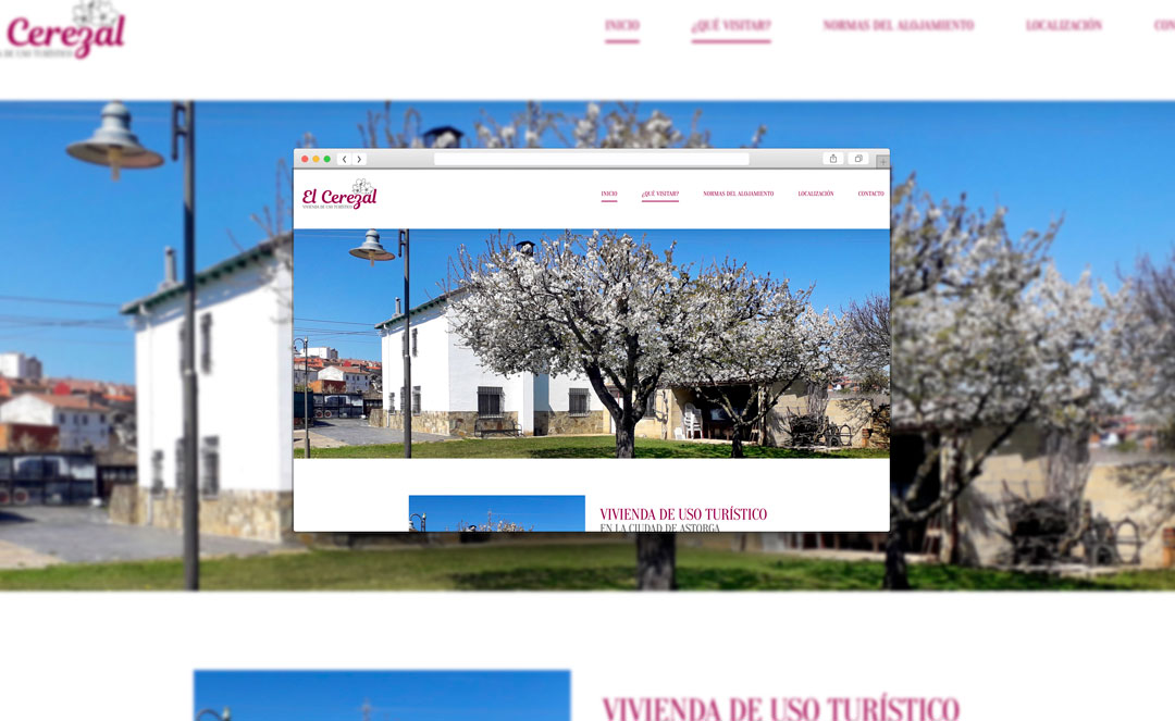 Creaemos Estudio de Diseño Ana Collazo